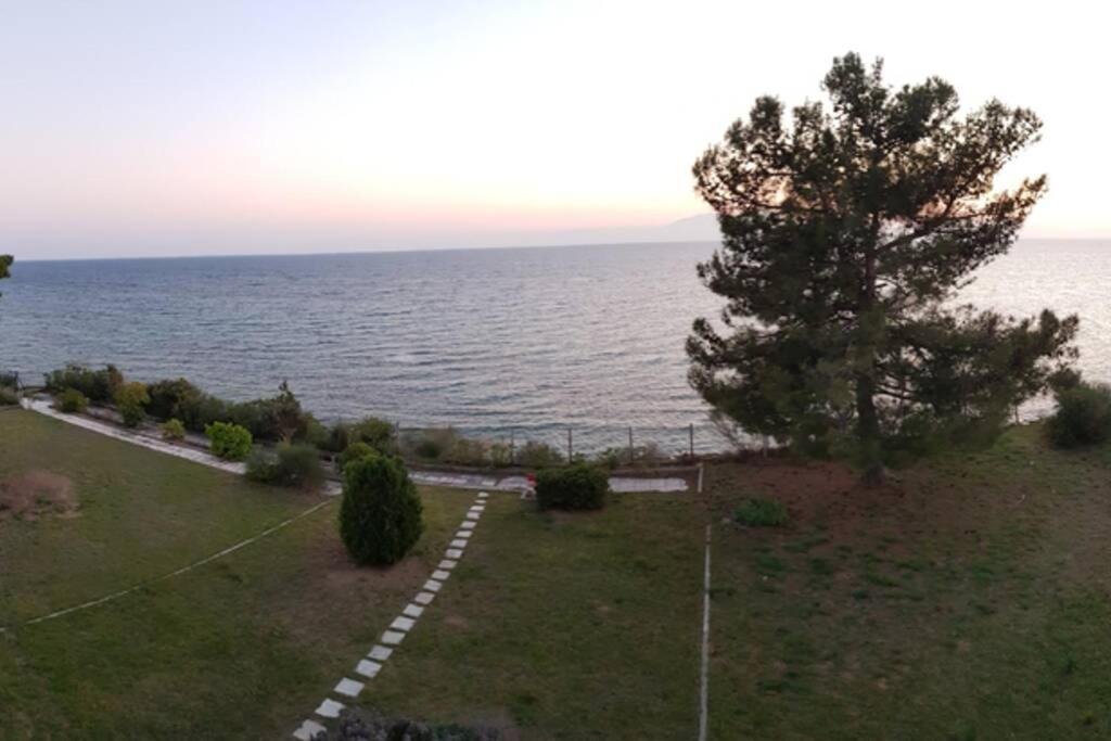 Apartament Sunshine House Offering Spectacular Views To Olymp A