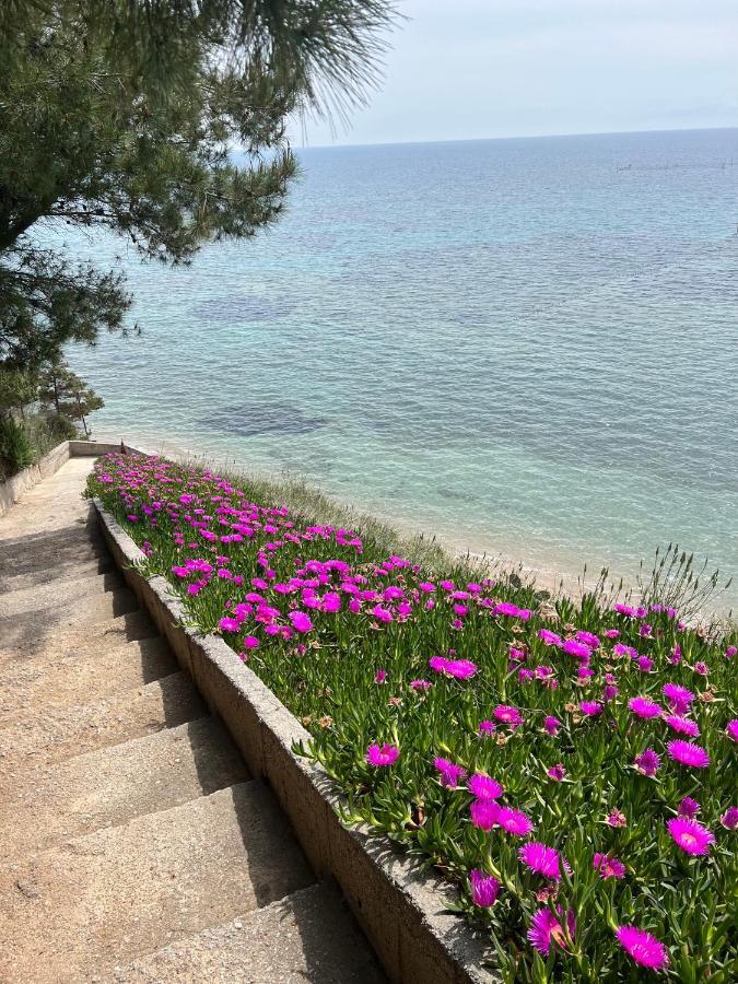 Apartment Sunshine House Offering Spectacular Views To Olymp A Nea Iraklia